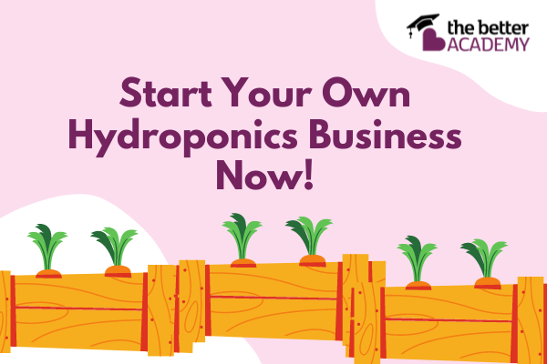 course | Complete A-Z Guide to Build Your Own Hydroponics Venture