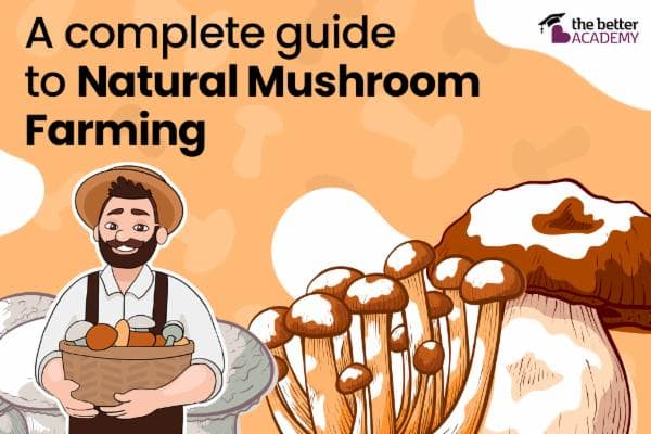 course | Mushroom Cultivation - How to Build a Profitable Business